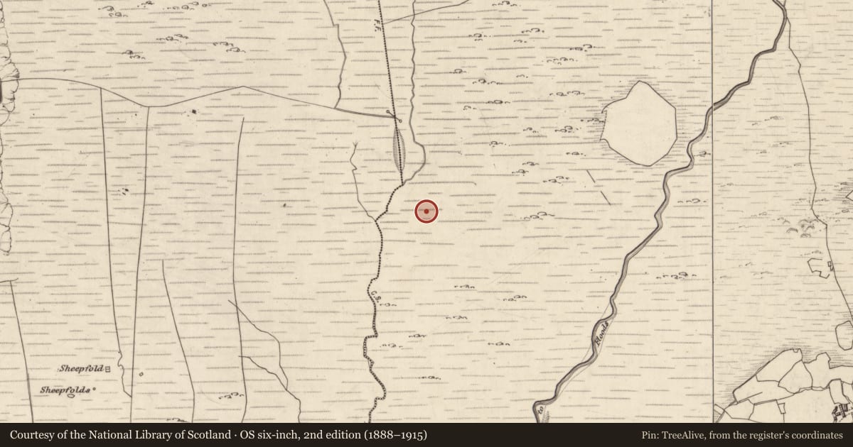 Ordnance Survey six-inch map, 2nd edition (1888–1915) covering the location of Hut site, Fermoyle, County Kerry, with a pin at the register's coordinates