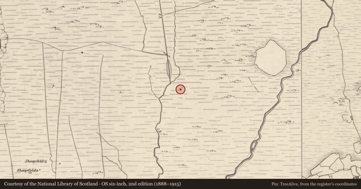 Ordnance Survey six-inch map, 2nd edition (1888–1915) covering the location of Field boundary, Fermoyle, County Kerry, with a pin at the register's coordinates