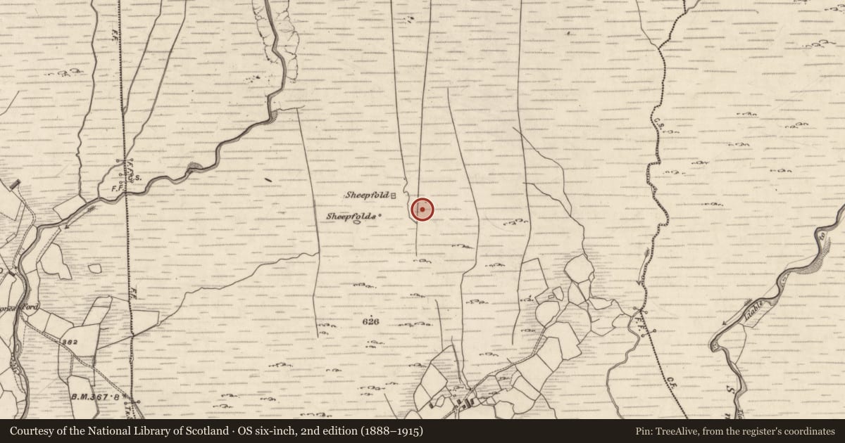 Ordnance Survey six-inch map, 2nd edition (1888–1915) covering the location of Enclosure, Derrynagree, County Kerry, with a pin at the register's coordinates