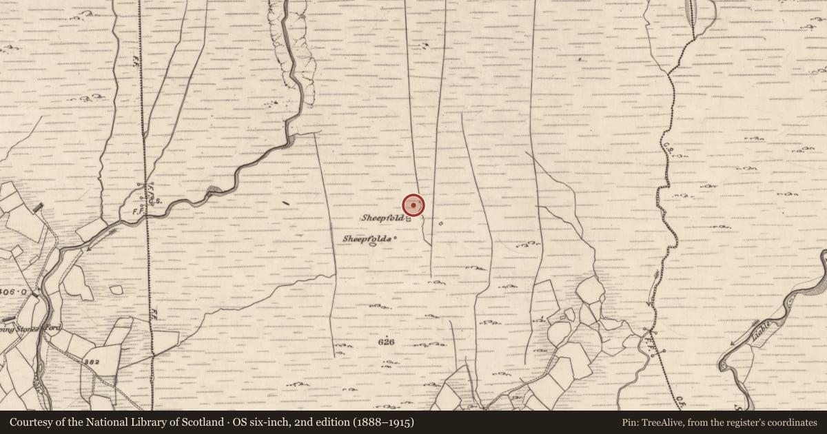 Ordnance Survey six-inch map, 2nd edition (1888–1915) covering the location of Field boundary, Derrynagree, County Kerry, with a pin at the register's coordinates