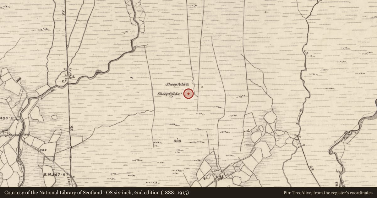 Ordnance Survey six-inch map, 2nd edition (1888–1915) covering the location of Enclosure, Derrynagree, County Kerry, with a pin at the register's coordinates