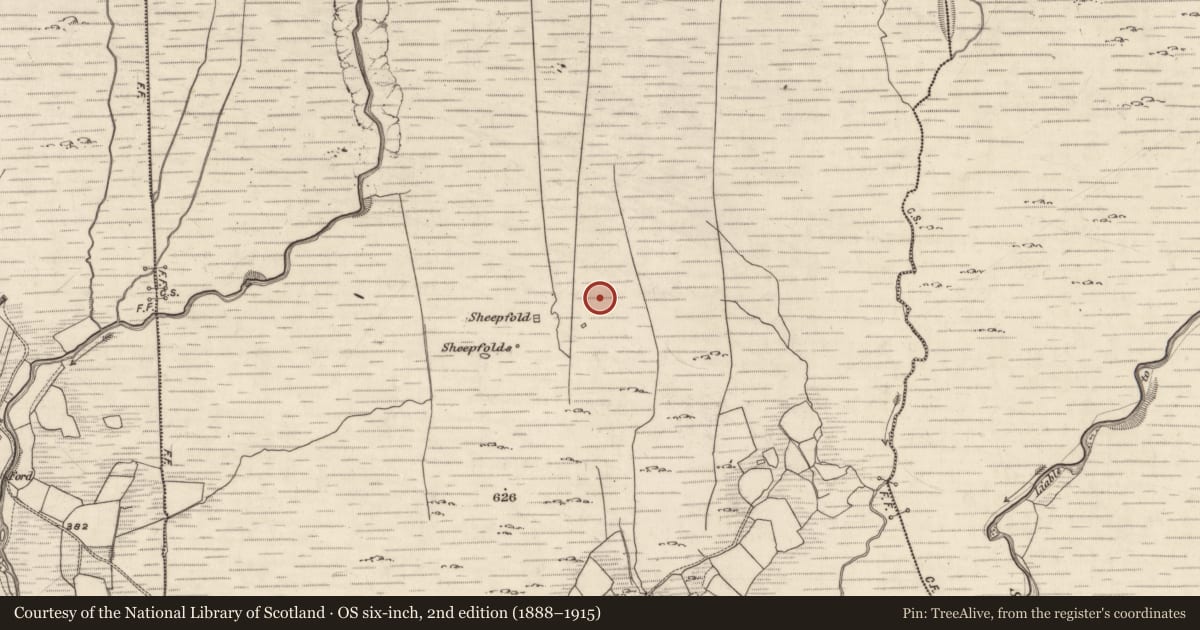 Ordnance Survey six-inch map, 2nd edition (1888–1915) covering the location of Enclosure, Derrynagree, County Kerry, with a pin at the register's coordinates