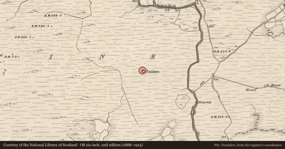 Ordnance Survey six-inch map, 2nd edition (1888–1915) covering the location of Ringfort - cashel, Dromtine, County Kerry, with a pin at the register's coordinates