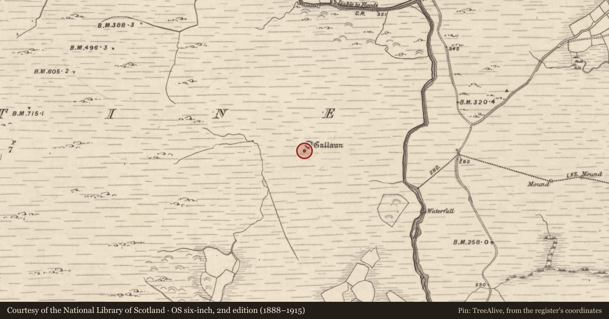 Ordnance Survey six-inch map, 2nd edition (1888–1915) covering the location of Road - road/trackway, Dromtine, County Kerry, with a pin at the register's coordinates