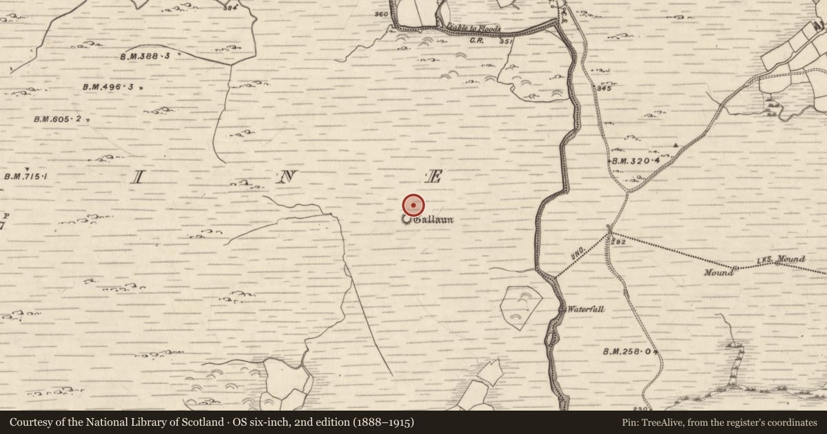 Ordnance Survey six-inch map, 2nd edition (1888–1915) covering the location of Field boundary, Dromtine, County Kerry, with a pin at the register's coordinates