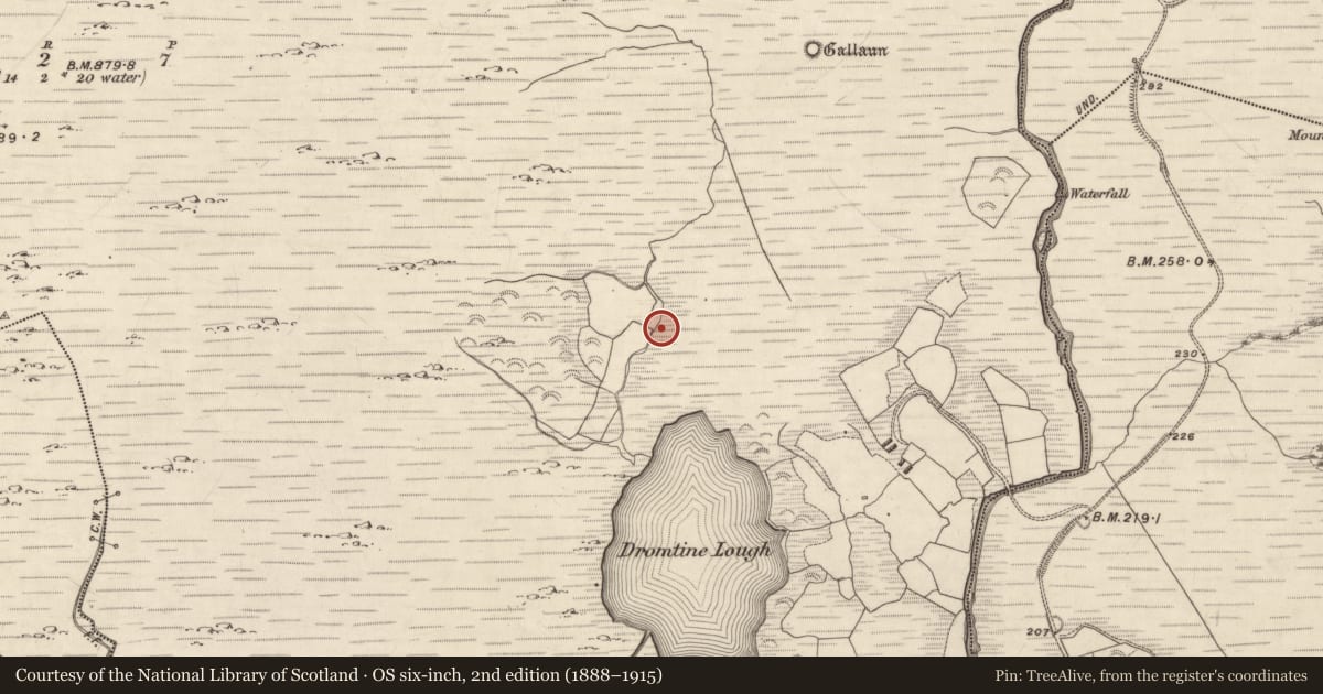 Ordnance Survey six-inch map, 2nd edition (1888–1915) covering the location of Enclosure, Dromtine, County Kerry, with a pin at the register's coordinates