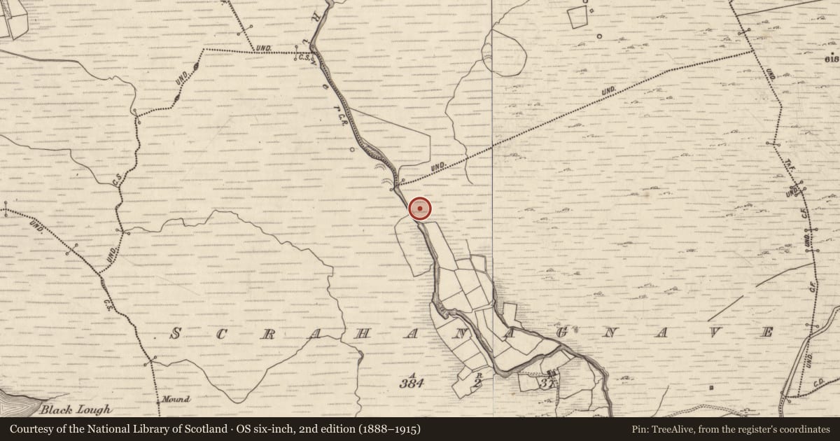Ordnance Survey six-inch map, 2nd edition (1888–1915) covering the location of Enclosure, Scrahanagnave, County Kerry, with a pin at the register's coordinates
