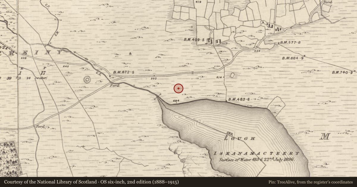 Ordnance Survey six-inch map, 2nd edition (1888–1915) covering the location of Ringfort - cashel, MacHa Ghrianáin, County Kerry, with a pin at the register's coordinates