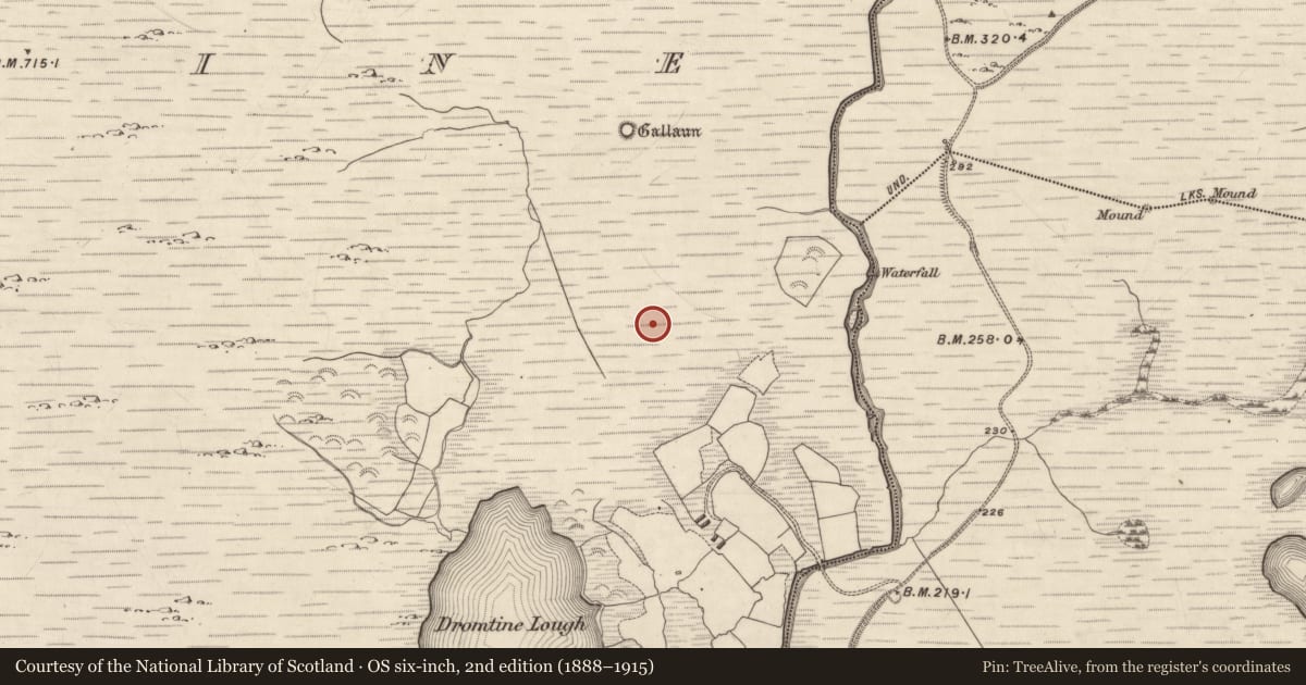 Ordnance Survey six-inch map, 2nd edition (1888–1915) covering the location of Enclosure, Dromtine, Lomanagh North, County Kerry, with a pin at the register's coordinates