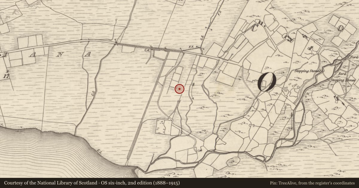 Ordnance Survey six-inch map, 2nd edition (1888–1915) covering the location of Hut site, Com An Bhóthair, County Kerry, with a pin at the register's coordinates
