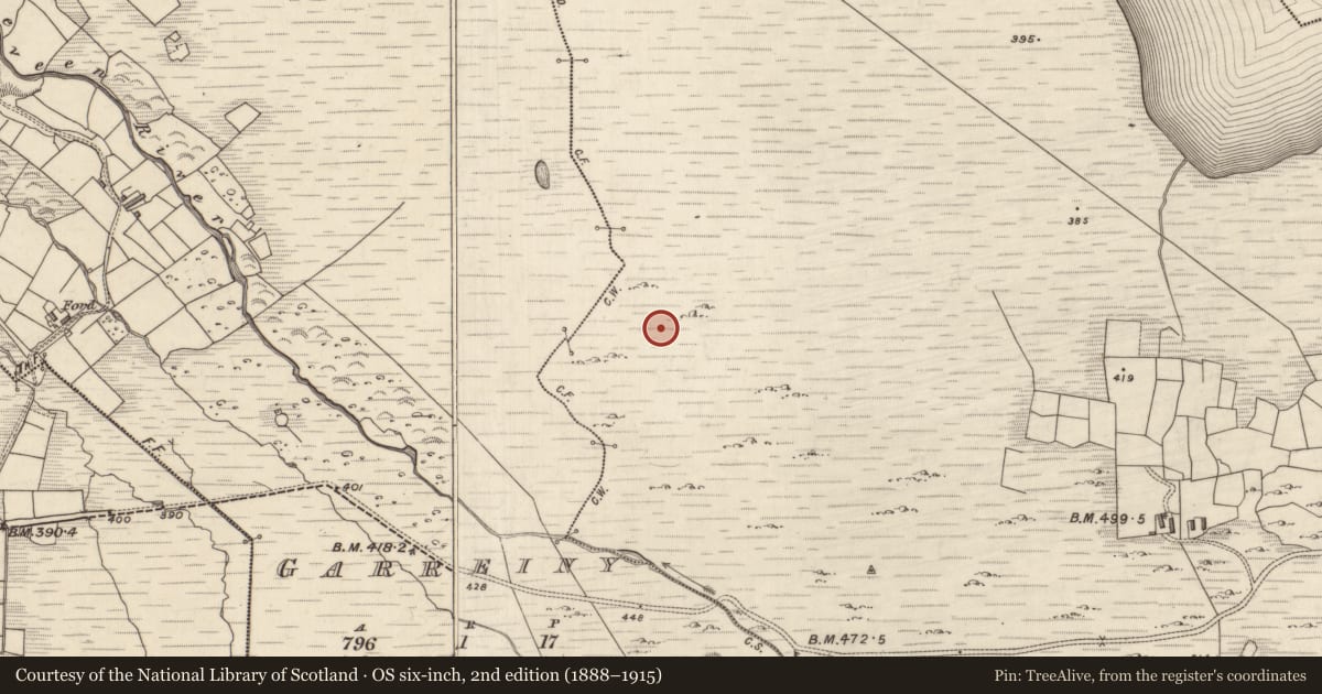 Ordnance Survey six-inch map, 2nd edition (1888–1915) covering the location of Field system, Na Gearreidhní, MacHa Ghrianáin, County Kerry, with a pin at the register's coordinates