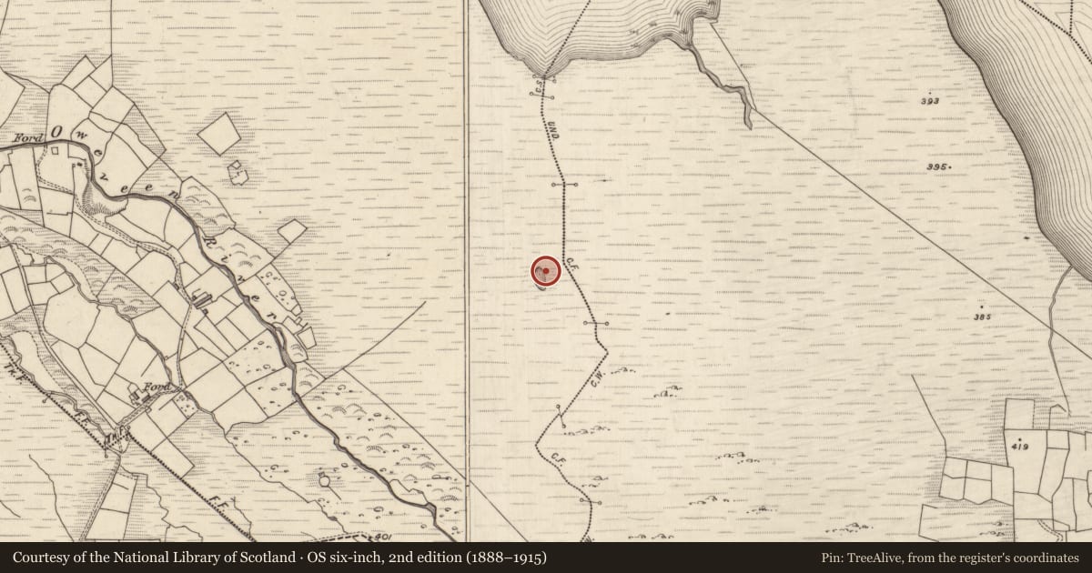Ordnance Survey six-inch map, 2nd edition (1888–1915) covering the location of Hut site, Na Gearreidhní, County Kerry, with a pin at the register's coordinates