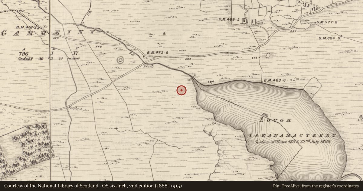 Ordnance Survey six-inch map, 2nd edition (1888–1915) covering the location of Hut site, Na Gearreidhní, County Kerry, with a pin at the register's coordinates