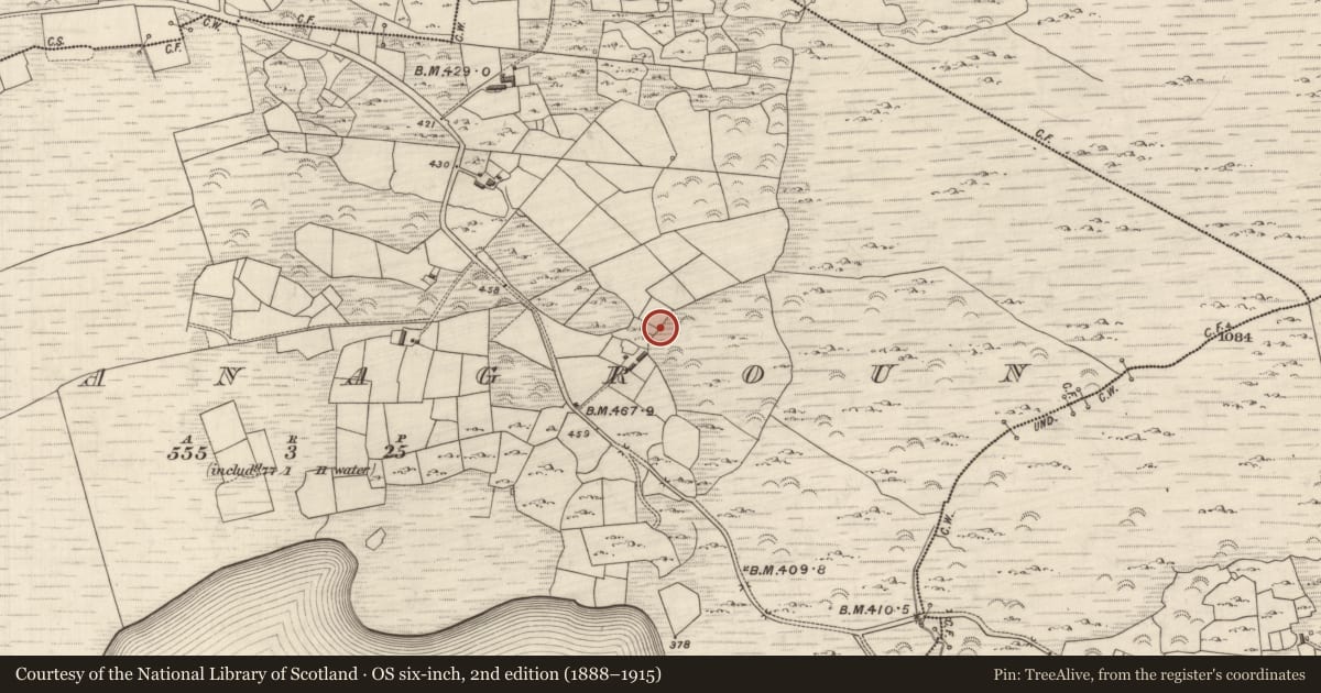 Ordnance Survey six-inch map, 2nd edition (1888–1915) covering the location of Fulacht fia, Ceapaigh Na Gcrann, County Kerry, with a pin at the register's coordinates