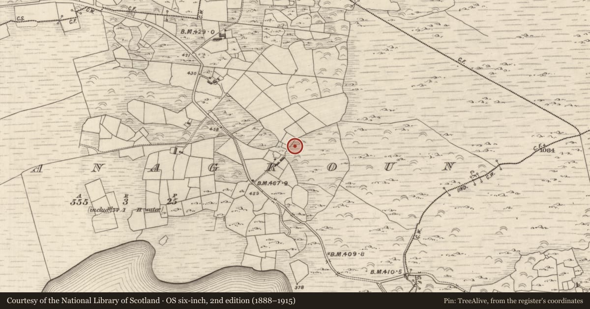 Ordnance Survey six-inch map, 2nd edition (1888–1915) covering the location of Fulacht fia, Ceapaigh Na Gcrann, County Kerry, with a pin at the register's coordinates