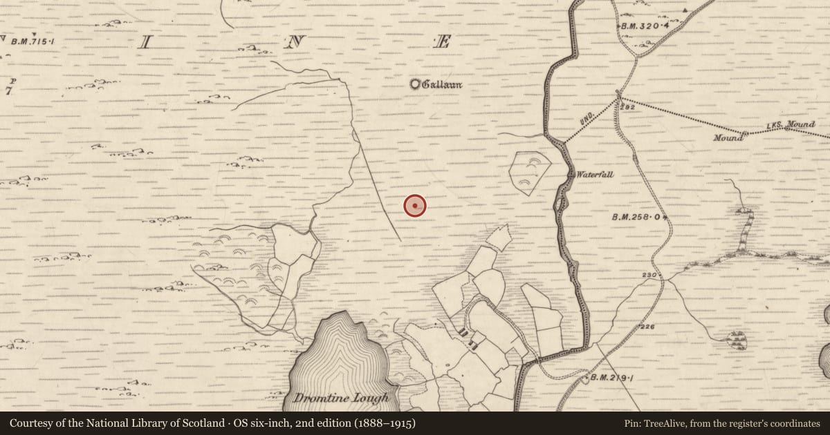 Ordnance Survey six-inch map, 2nd edition (1888–1915) covering the location of Rock art, Dromtine, County Kerry, with a pin at the register's coordinates