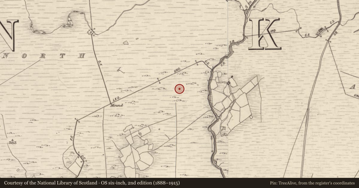 Ordnance Survey six-inch map, 2nd edition (1888–1915) covering the location of Rock art, Maulagallane, County Kerry, with a pin at the register's coordinates