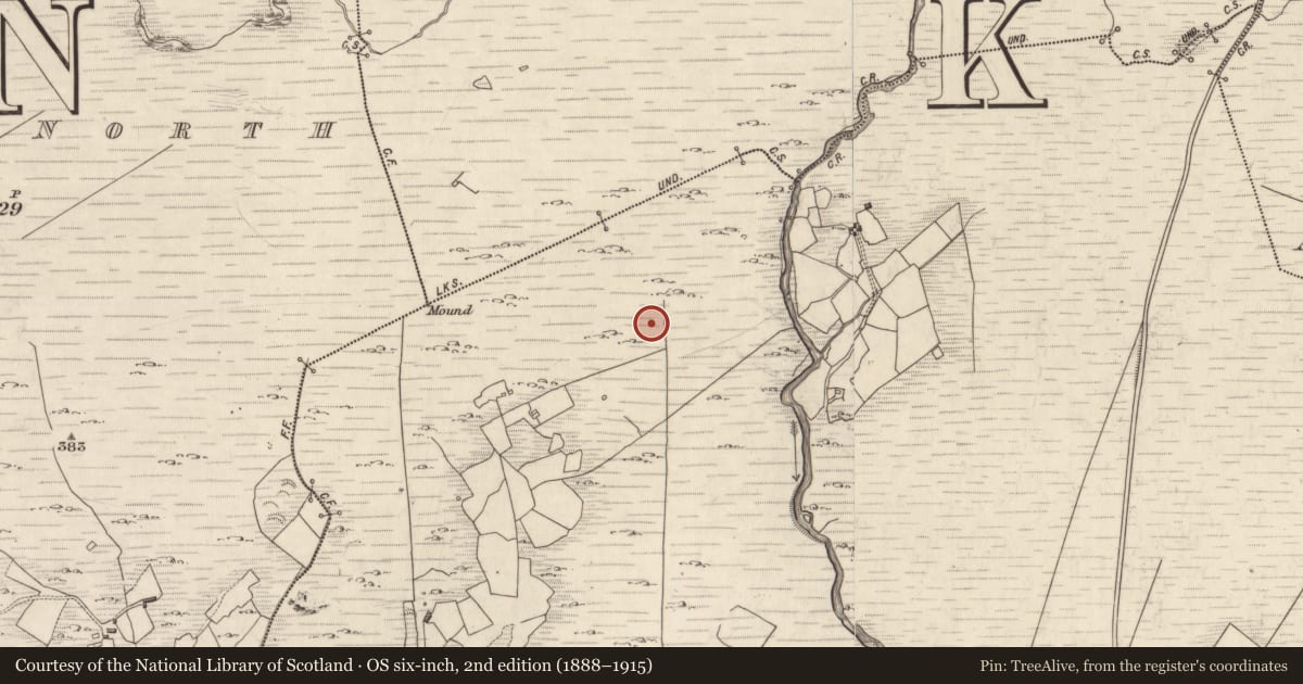 Ordnance Survey six-inch map, 2nd edition (1888–1915) covering the location of Rock art, Maulagallane, County Kerry, with a pin at the register's coordinates