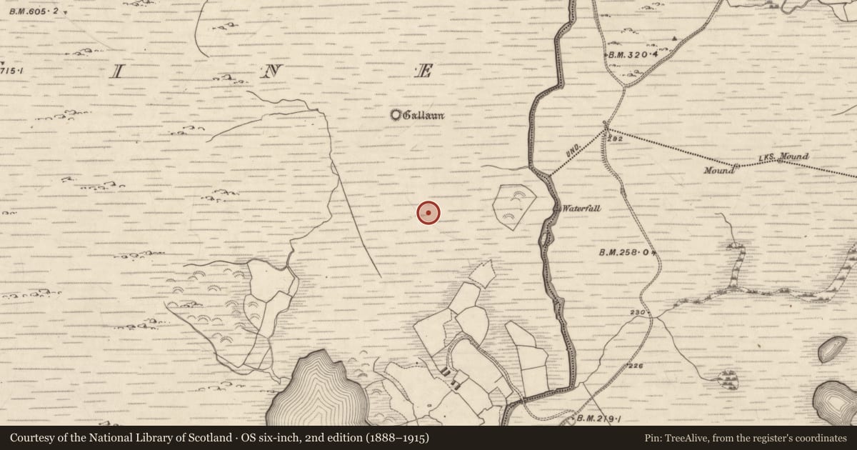 Ordnance Survey six-inch map, 2nd edition (1888–1915) covering the location of Rock art, Dromtine, County Kerry, with a pin at the register's coordinates