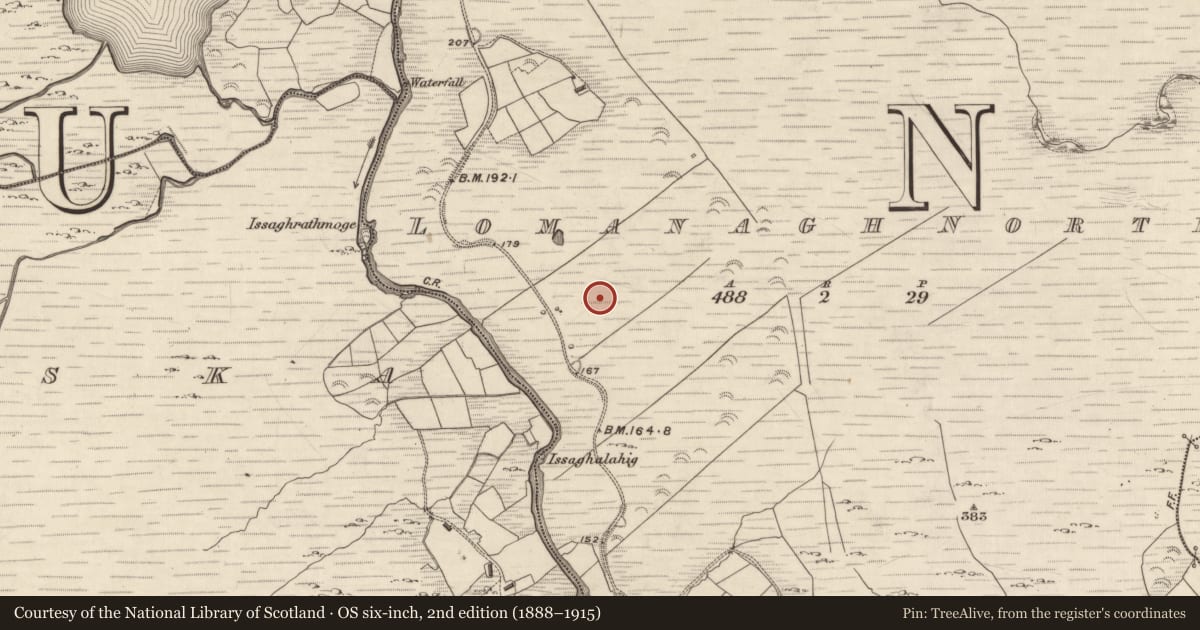 Ordnance Survey six-inch map, 2nd edition (1888–1915) covering the location of Hut site, Lomanagh North, County Kerry, with a pin at the register's coordinates