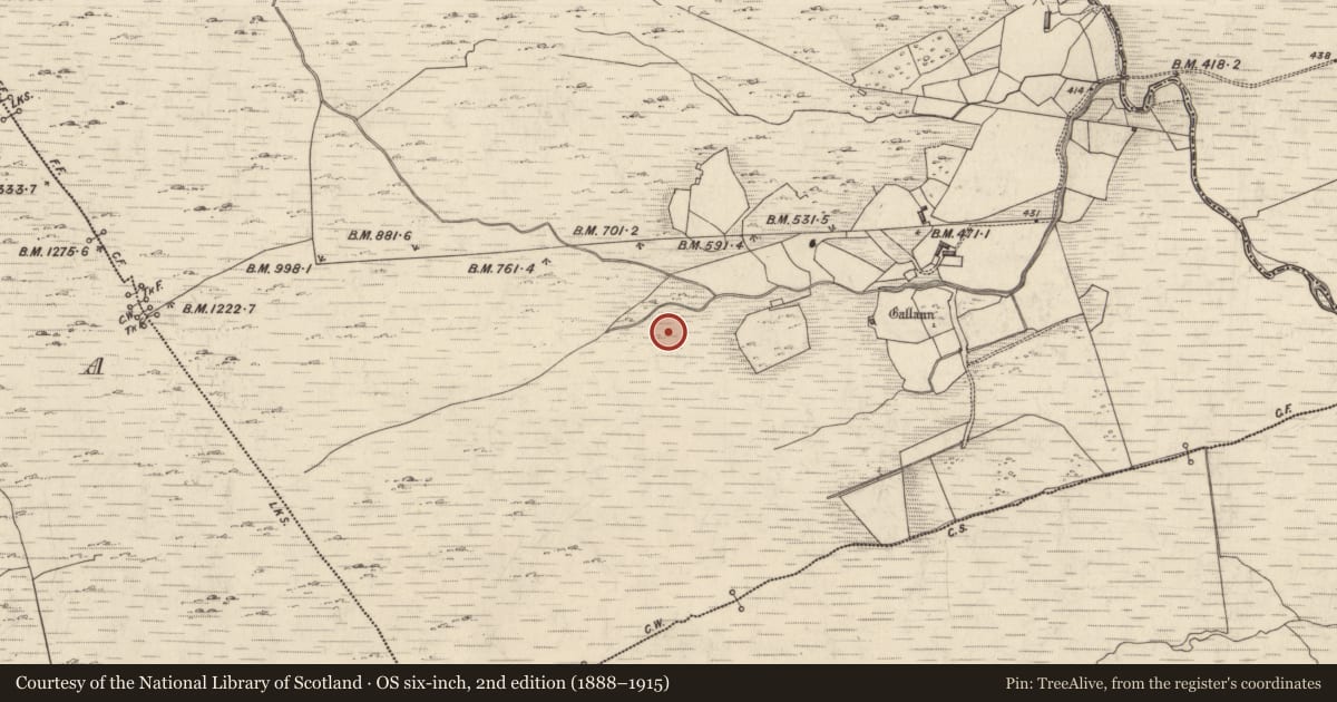 Ordnance Survey six-inch map, 2nd edition (1888–1915) covering the location of Enclosure, Derreennagreer, County Kerry, with a pin at the register's coordinates