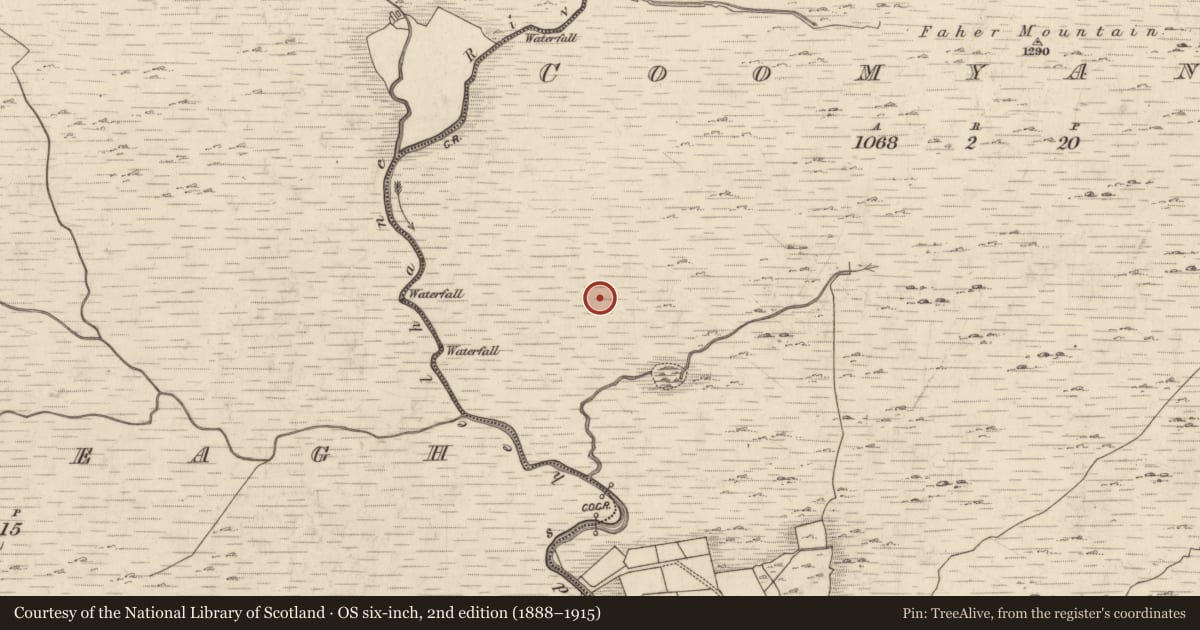 Ordnance Survey six-inch map, 2nd edition (1888–1915) covering the location of Enclosure, Coomyanna, County Kerry, with a pin at the register's coordinates