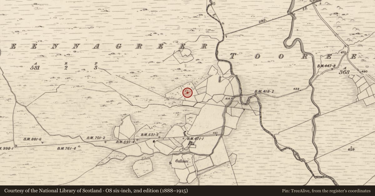 Ordnance Survey six-inch map, 2nd edition (1888–1915) covering the location of Standing stone, Derreennagreer, County Kerry, with a pin at the register's coordinates