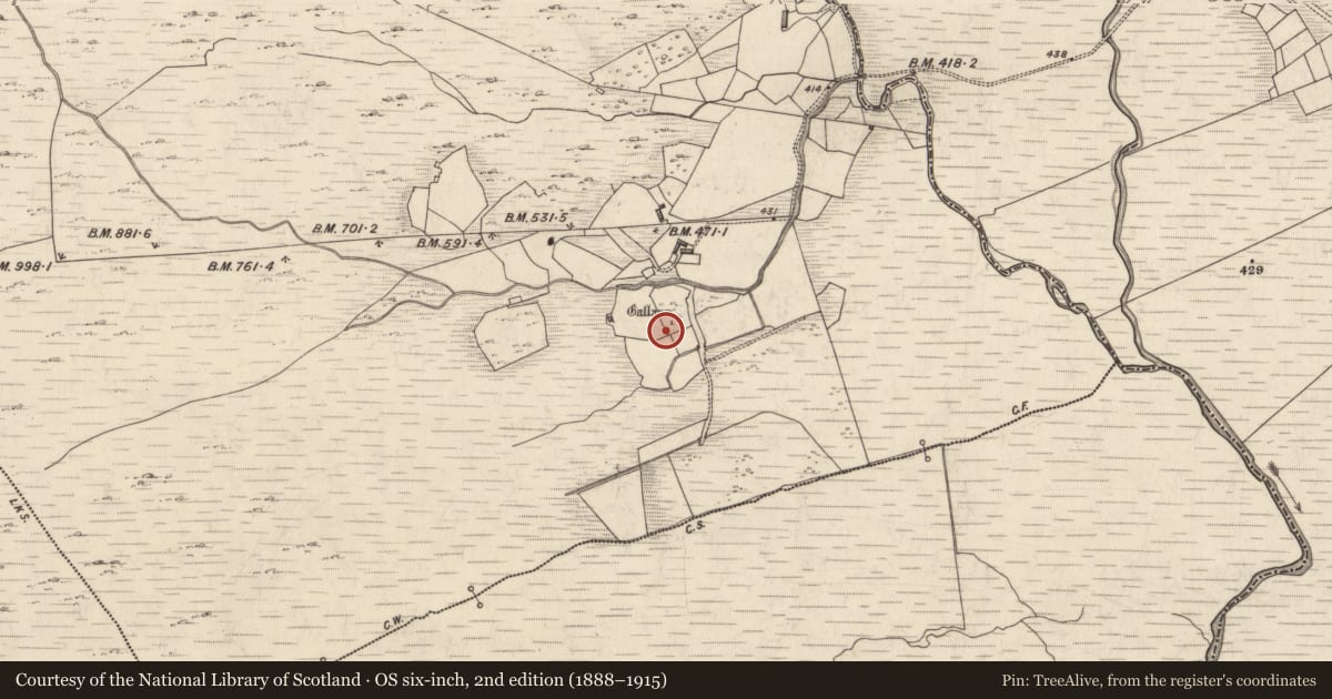 Ordnance Survey six-inch map, 2nd edition (1888–1915) covering the location of Standing stone, Derreennagreer, County Kerry, with a pin at the register's coordinates
