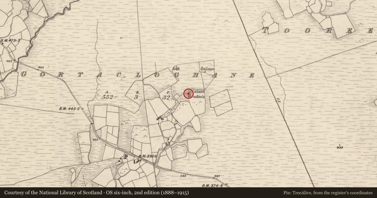 Ordnance Survey six-inch map, 2nd edition (1888–1915) covering the location of Standing stone, Gortacloghane, County Kerry, with a pin at the register's coordinates