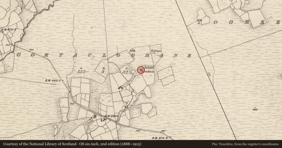 Ordnance Survey six-inch map, 2nd edition (1888–1915) covering the location of Stone row, Gortacloghane, County Kerry, with a pin at the register's coordinates