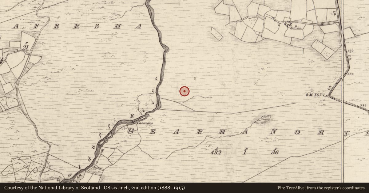 Ordnance Survey six-inch map, 2nd edition (1888–1915) covering the location of Field boundary, Gearha North, County Kerry, with a pin at the register's coordinates