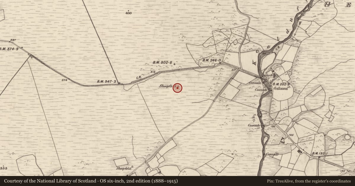 Ordnance Survey six-inch map, 2nd edition (1888–1915) covering the location of Hut site, Gortbrack, County Kerry, with a pin at the register's coordinates