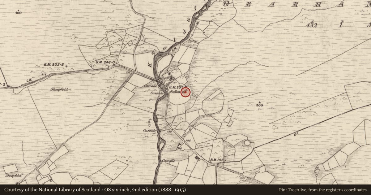Ordnance Survey six-inch map, 2nd edition (1888–1915) covering the location of Standing stone - pair, Gearha North, County Kerry, with a pin at the register's coordinates