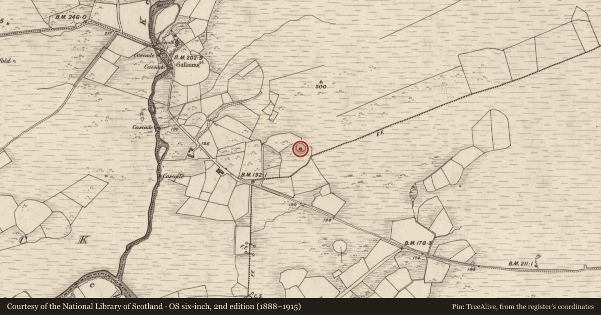 Ordnance Survey six-inch map, 2nd edition (1888–1915) covering the location of Ringfort - rath, Gearha North, County Kerry, with a pin at the register's coordinates