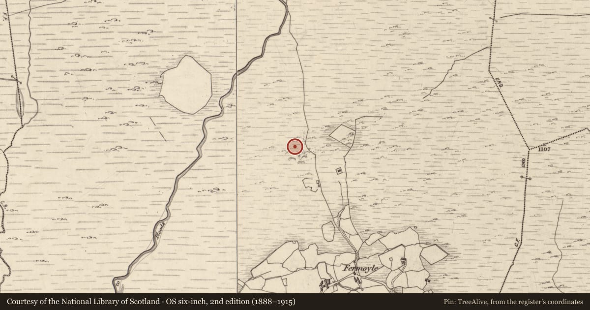 Ordnance Survey six-inch map, 2nd edition (1888–1915) covering the location of Ringfort - cashel, Fermoyle, County Kerry, with a pin at the register's coordinates