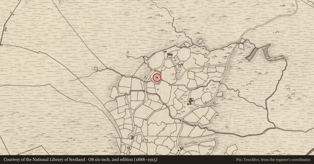 Ordnance Survey six-inch map, 2nd edition (1888–1915) covering the location of Rock art, Derryleagh, County Kerry, with a pin at the register's coordinates