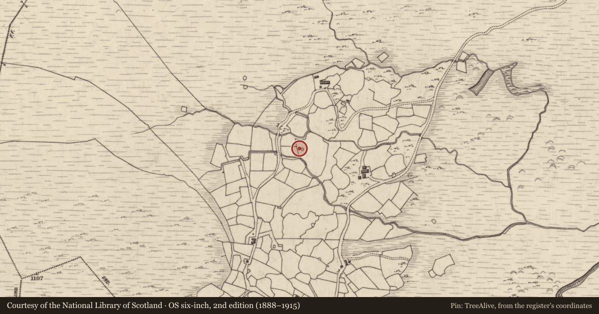 Ordnance Survey six-inch map, 2nd edition (1888–1915) covering the location of Hut site, Derryleagh, County Kerry, with a pin at the register's coordinates