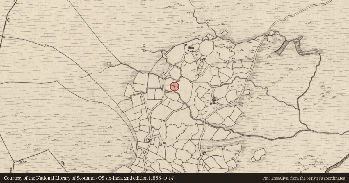 Ordnance Survey six-inch map, 2nd edition (1888–1915) covering the location of Souterrain, Derryleagh, County Kerry, with a pin at the register's coordinates