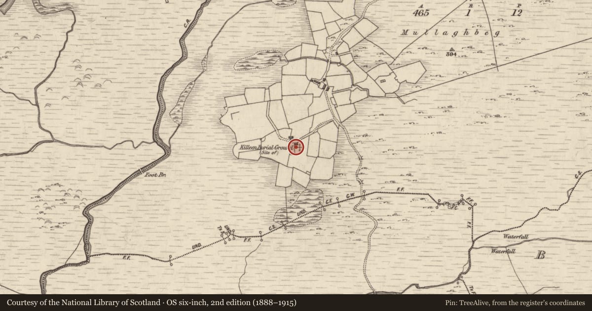 Ordnance Survey six-inch map, 2nd edition (1888–1915) covering the location of Ringfort - rath, Kealariddig, County Kerry, with a pin at the register's coordinates