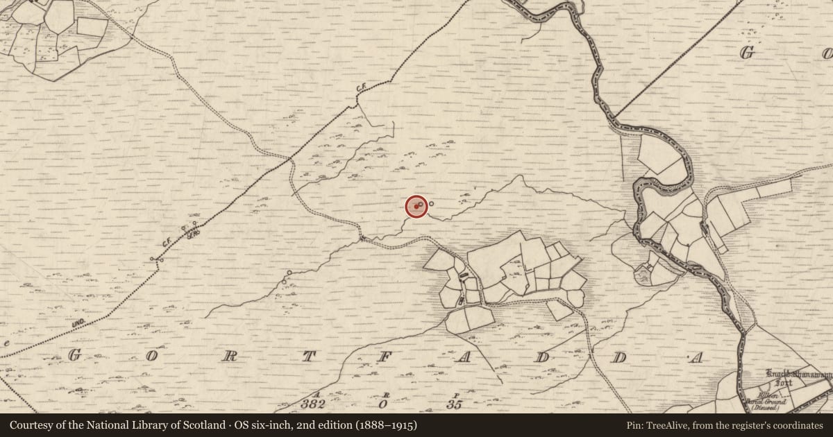 Ordnance Survey six-inch map, 2nd edition (1888–1915) covering the location of Enclosure, Gortfadda, County Kerry, with a pin at the register's coordinates