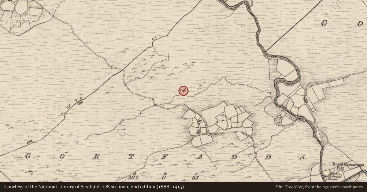 Ordnance Survey six-inch map, 2nd edition (1888–1915) covering the location of Enclosure, Gortfadda, County Kerry, with a pin at the register's coordinates