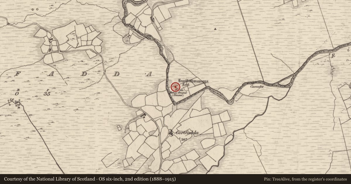 Ordnance Survey six-inch map, 2nd edition (1888–1915) covering the location of Enclosure, Gortbrack, County Kerry, with a pin at the register's coordinates