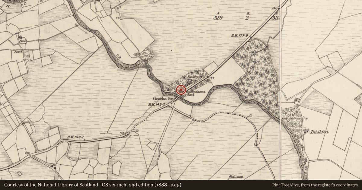 Ordnance Survey six-inch map, 2nd edition (1888–1915) covering the location of Ringfort - rath, Gearha South, County Kerry, with a pin at the register's coordinates