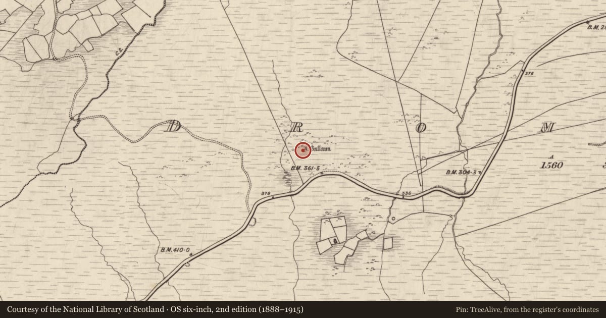 Ordnance Survey six-inch map, 2nd edition (1888–1915) covering the location of Standing stone, Dromlusk, County Kerry, with a pin at the register's coordinates