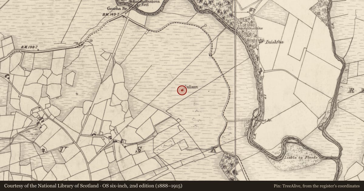 Ordnance Survey six-inch map, 2nd edition (1888–1915) covering the location of Standing stone, Dromlusk, County Kerry, with a pin at the register's coordinates