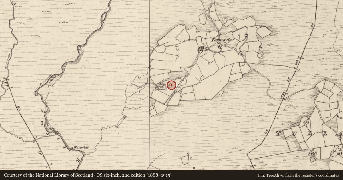 Ordnance Survey six-inch map, 2nd edition (1888–1915) covering the location of Fulacht fia, Fermoyle, County Kerry, with a pin at the register's coordinates