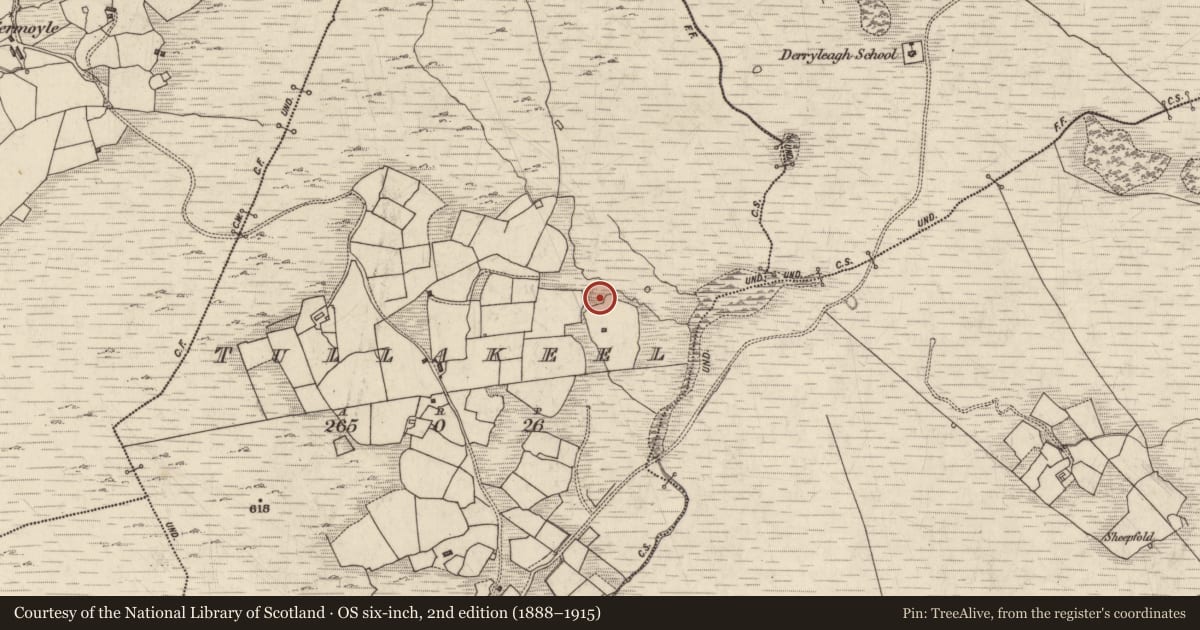 Ordnance Survey six-inch map, 2nd edition (1888–1915) covering the location of Boulder-burial, Tullakeel, County Kerry, with a pin at the register's coordinates