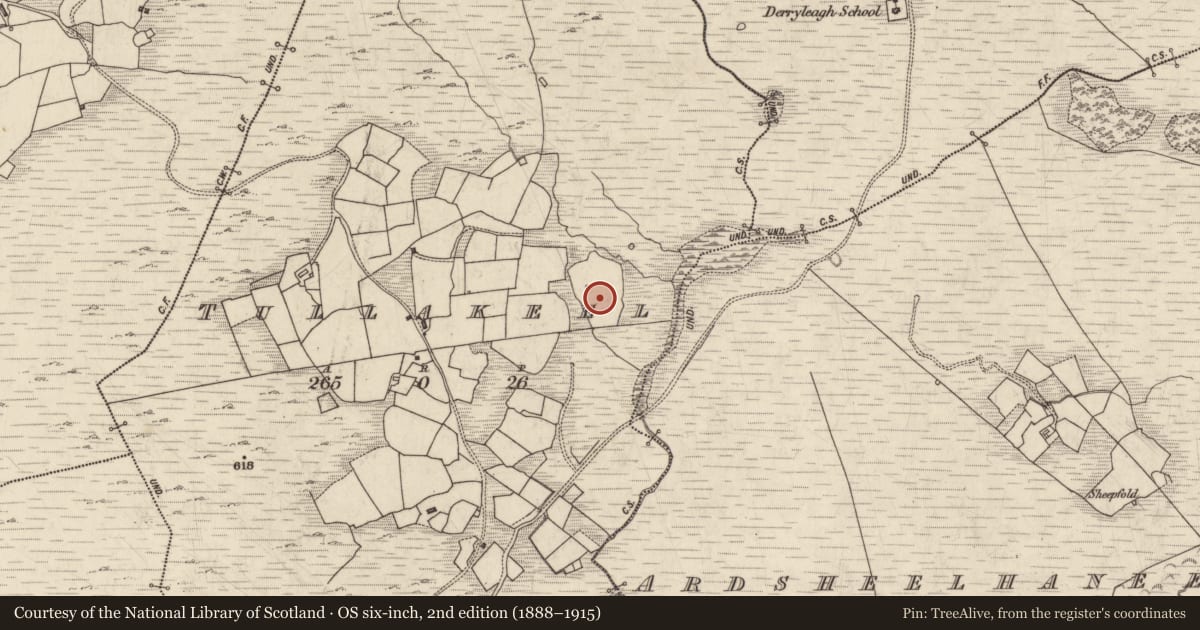 Ordnance Survey six-inch map, 2nd edition (1888–1915) covering the location of Rock art, Tullakeel, County Kerry, with a pin at the register's coordinates