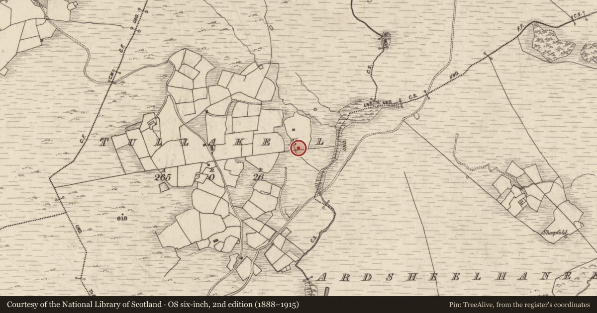 Ordnance Survey six-inch map, 2nd edition (1888–1915) covering the location of Rock art, Tullakeel, County Kerry, with a pin at the register's coordinates