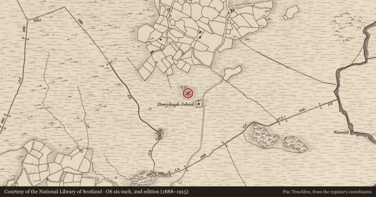 Ordnance Survey six-inch map, 2nd edition (1888–1915) covering the location of Ringfort - rath, Derryleagh, County Kerry, with a pin at the register's coordinates